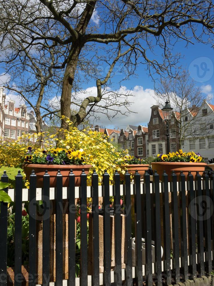 la ciudad de amsterdam en los países bajos foto