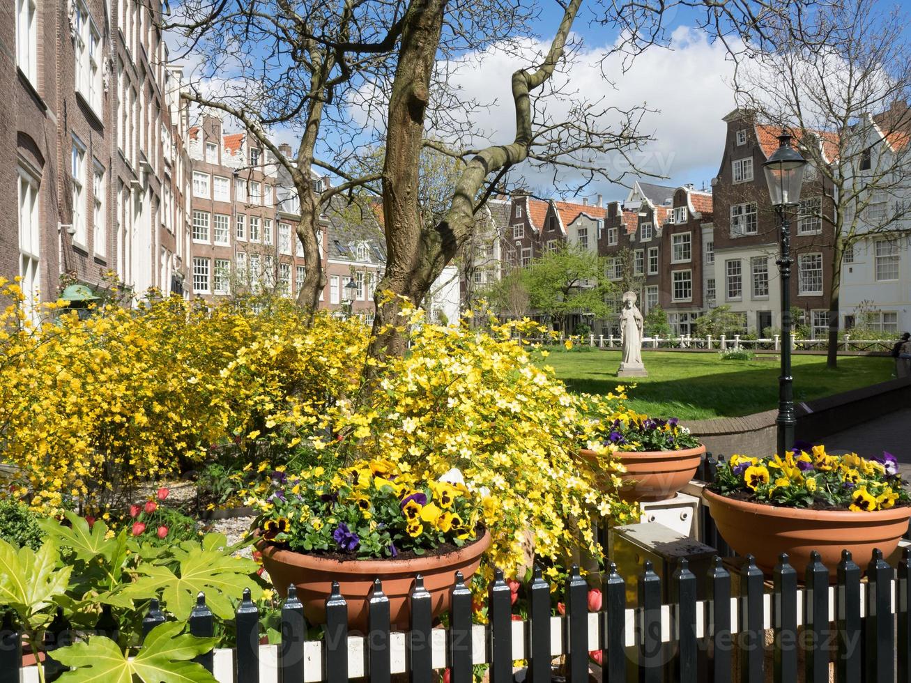 the dutch city Amsterdam photo