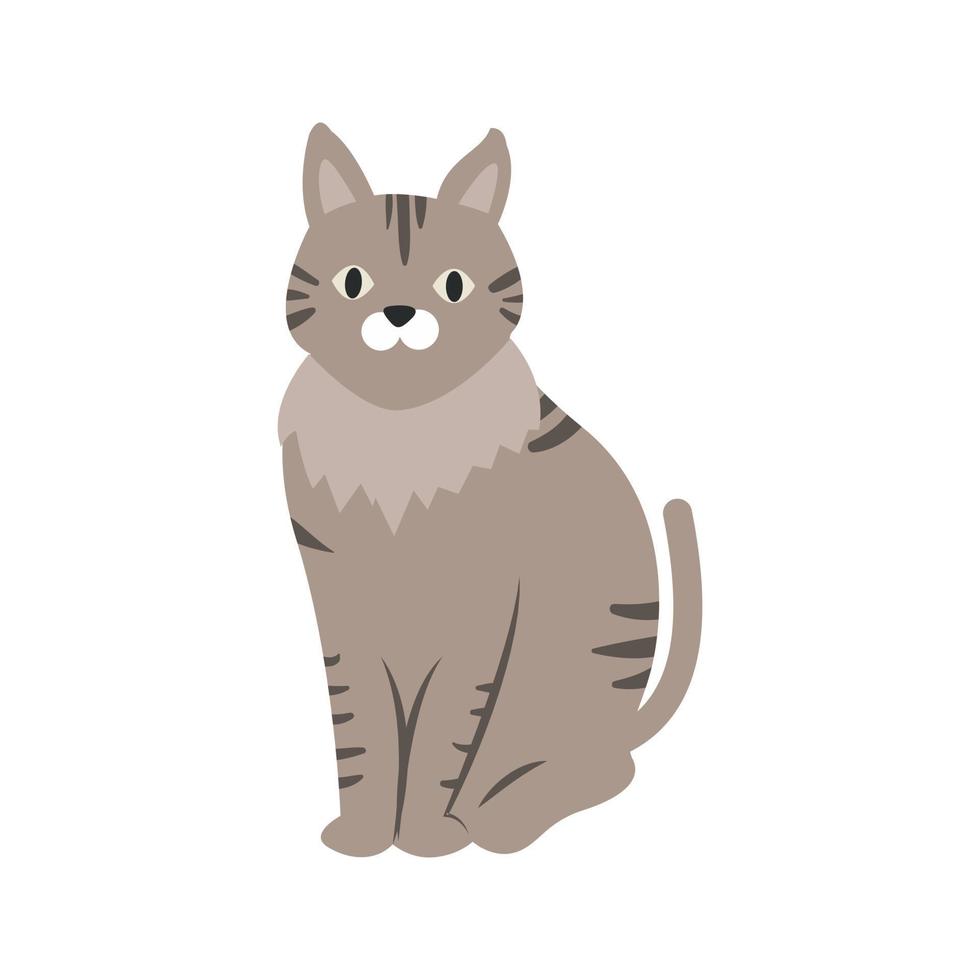 Pet Cat Line Icon vector