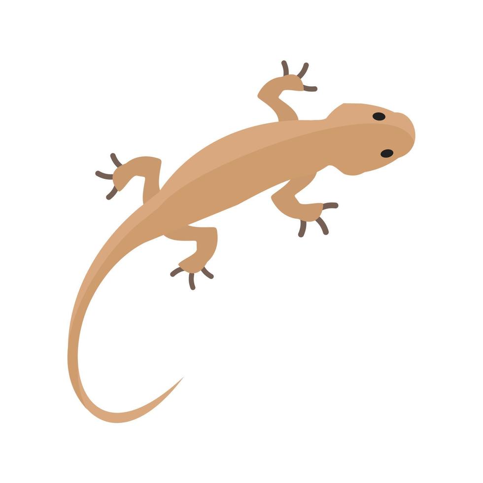 Pet Lizard Line Icon vector