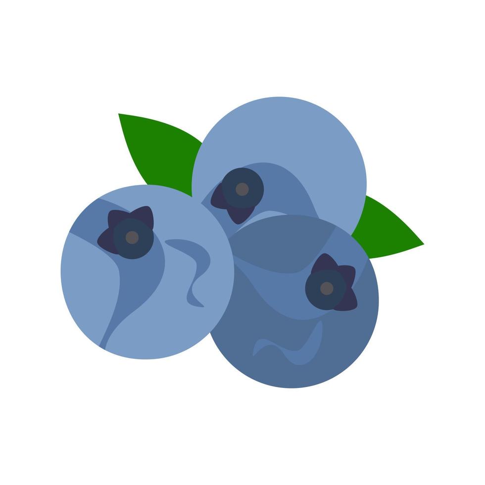 Blueberry Line Icon vector