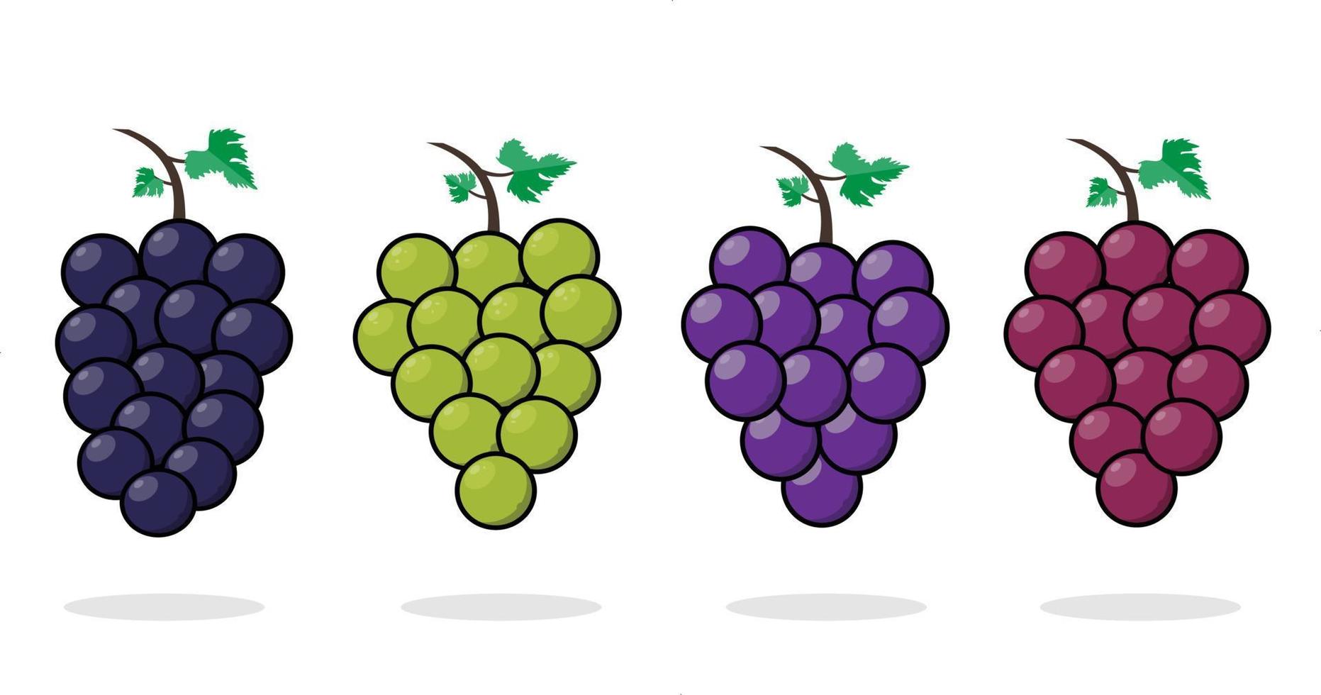 Grapes collection in cartoon style grapes fruit vector art illustration