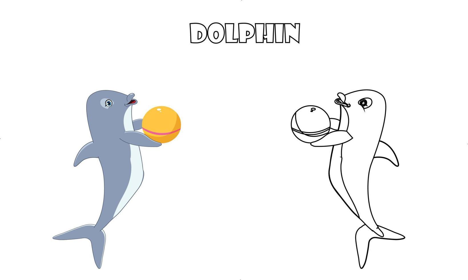 Cute dolphin animal line art color less image vector illustration, Children's pre school drawing page.