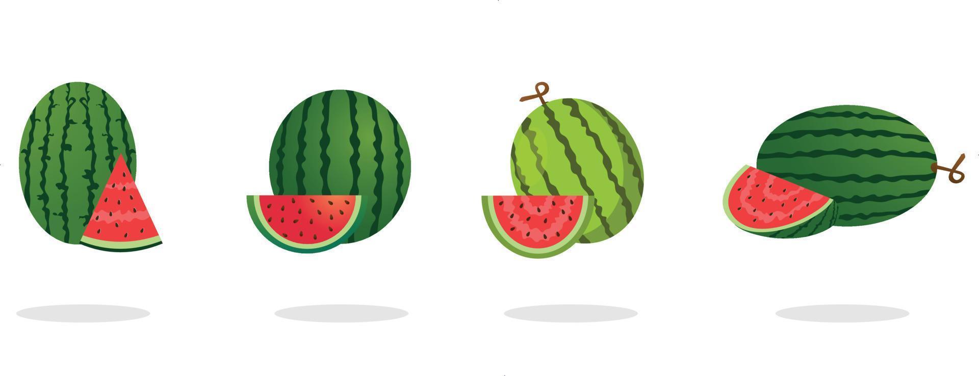 Vector illustration watermelon set, green stem, cut half, sliced. Graphic Watermelon symbols sweet food. Tropical watermelons on white background.