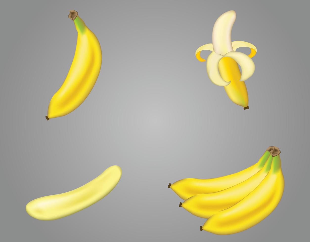 Realistic banana Fruit collection - Vector Illustration.