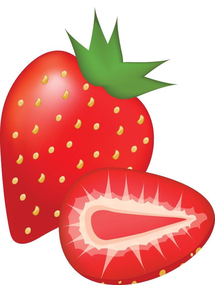 fresa realista, frutas de fresa roja, fondos de fresa, tarjetas de amor de fresa ilustración vectorial. vector