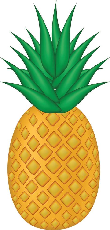 Realistic pineapple, Illustration of pineapple fruit with isolated cartoon style on white background. summer fruits, for a healthy and natural life, Vector illustration.