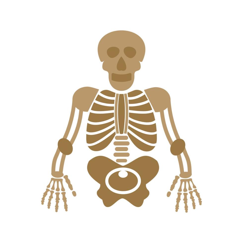 icono de línea de esqueleto humano vector