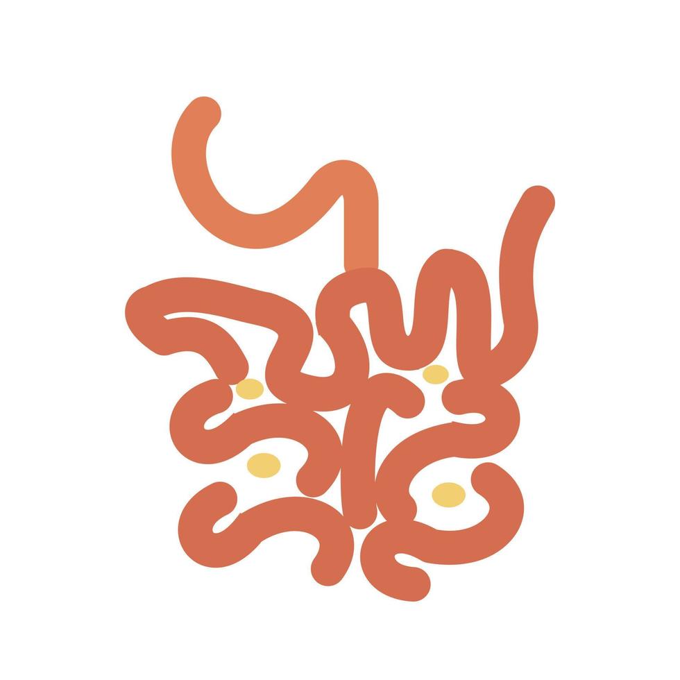 Small Intestine Line Icon vector