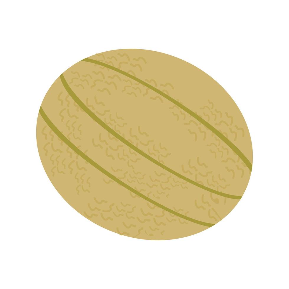 Rockmelon Line Icon vector