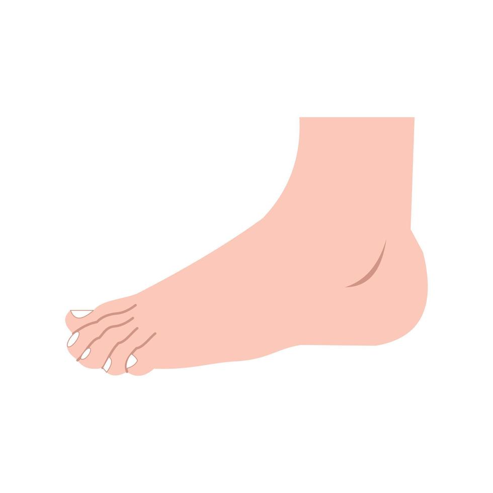 Foot Line Icon vector