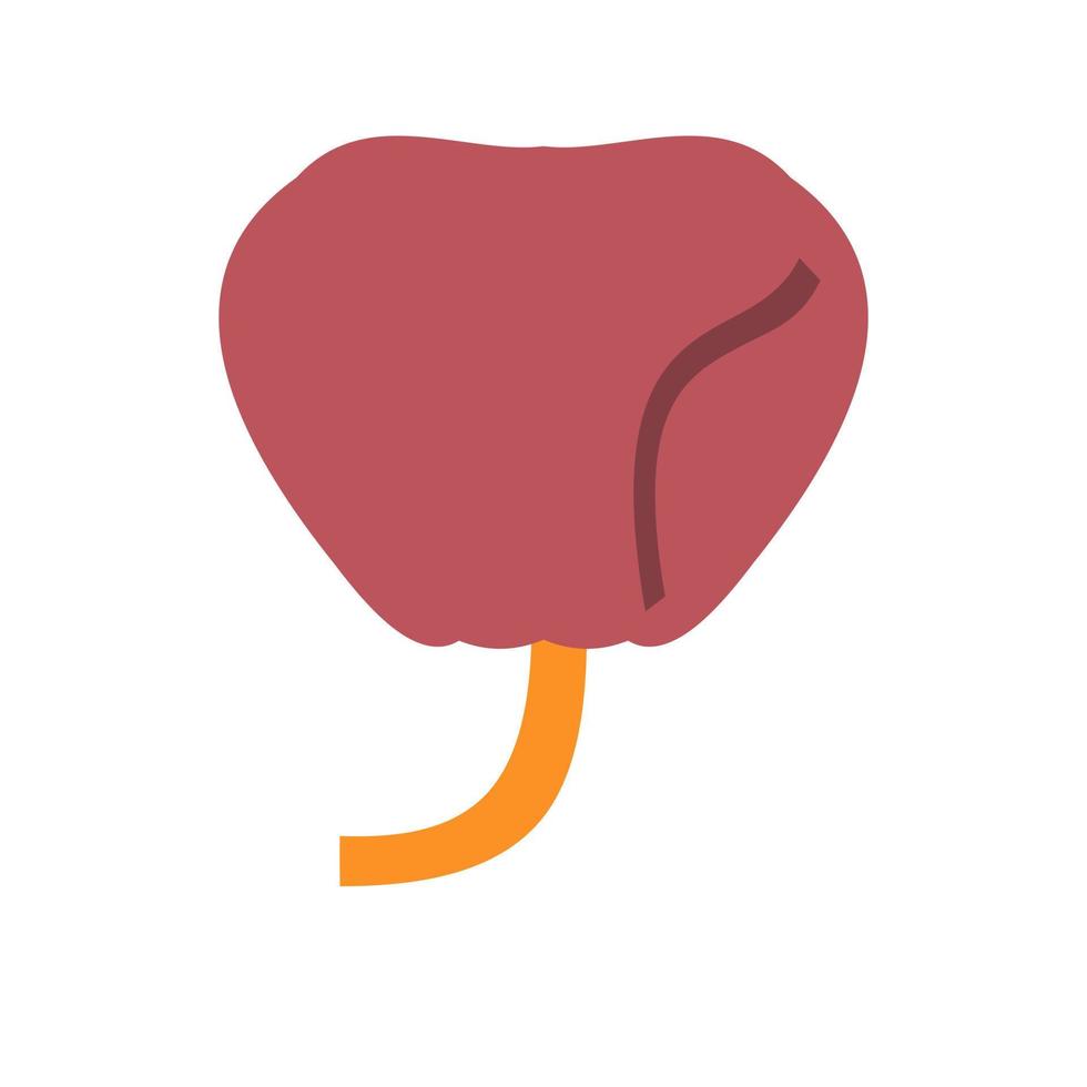 Prostate Line Icon vector