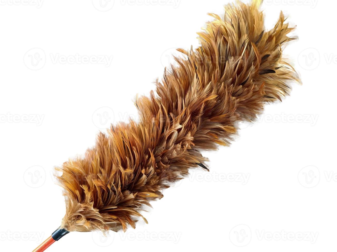 old feather duster isolated on white background photo