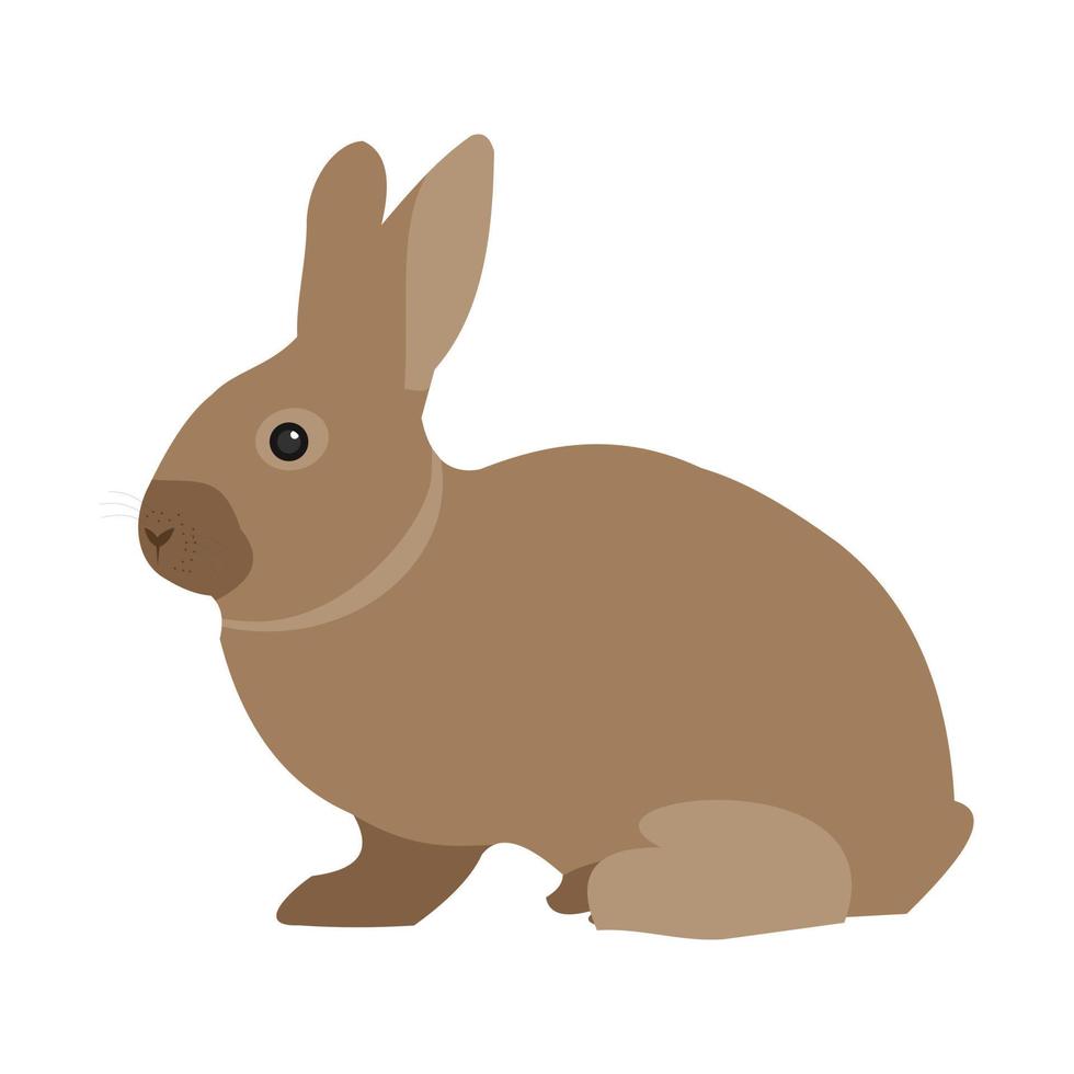 Pet Rabbit Line Icon vector