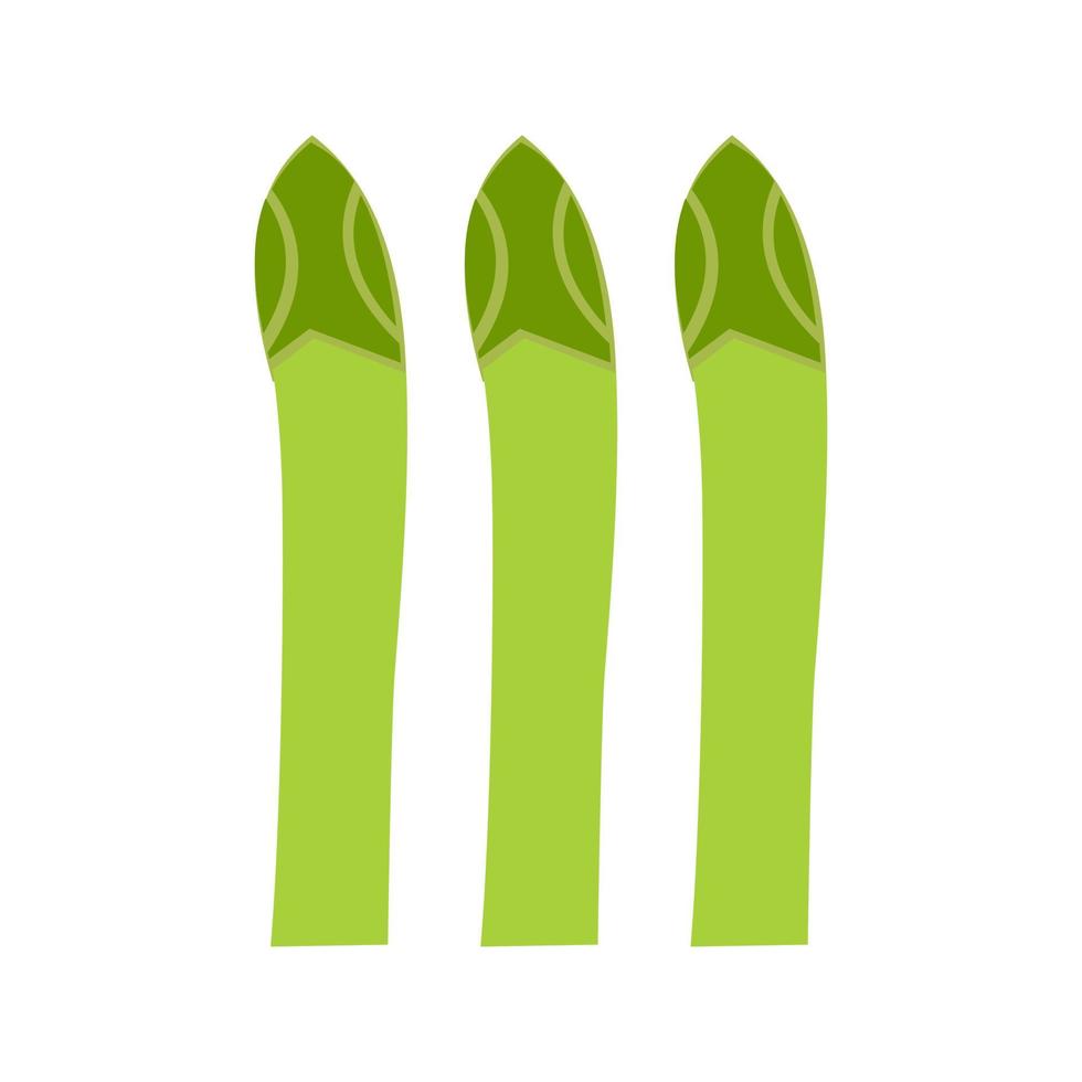 Asparagus Line Icon vector