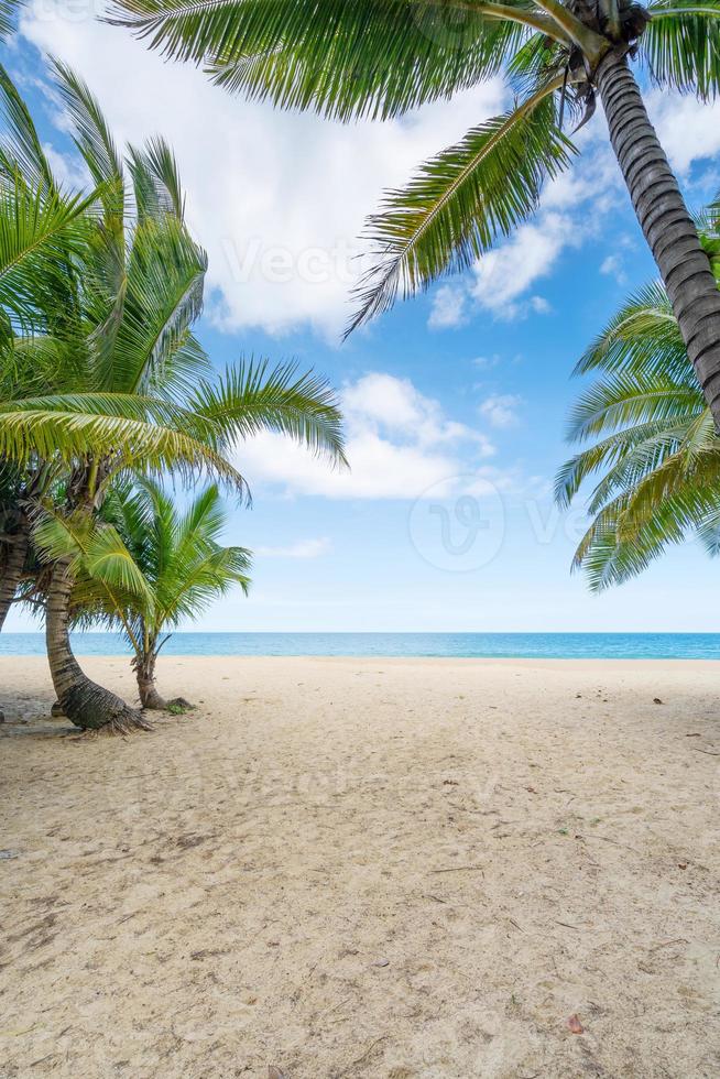 Beach summer vacations concept background Nature frame of coconut palm trees on the beach sand Beautiful sea beach landscape background photo