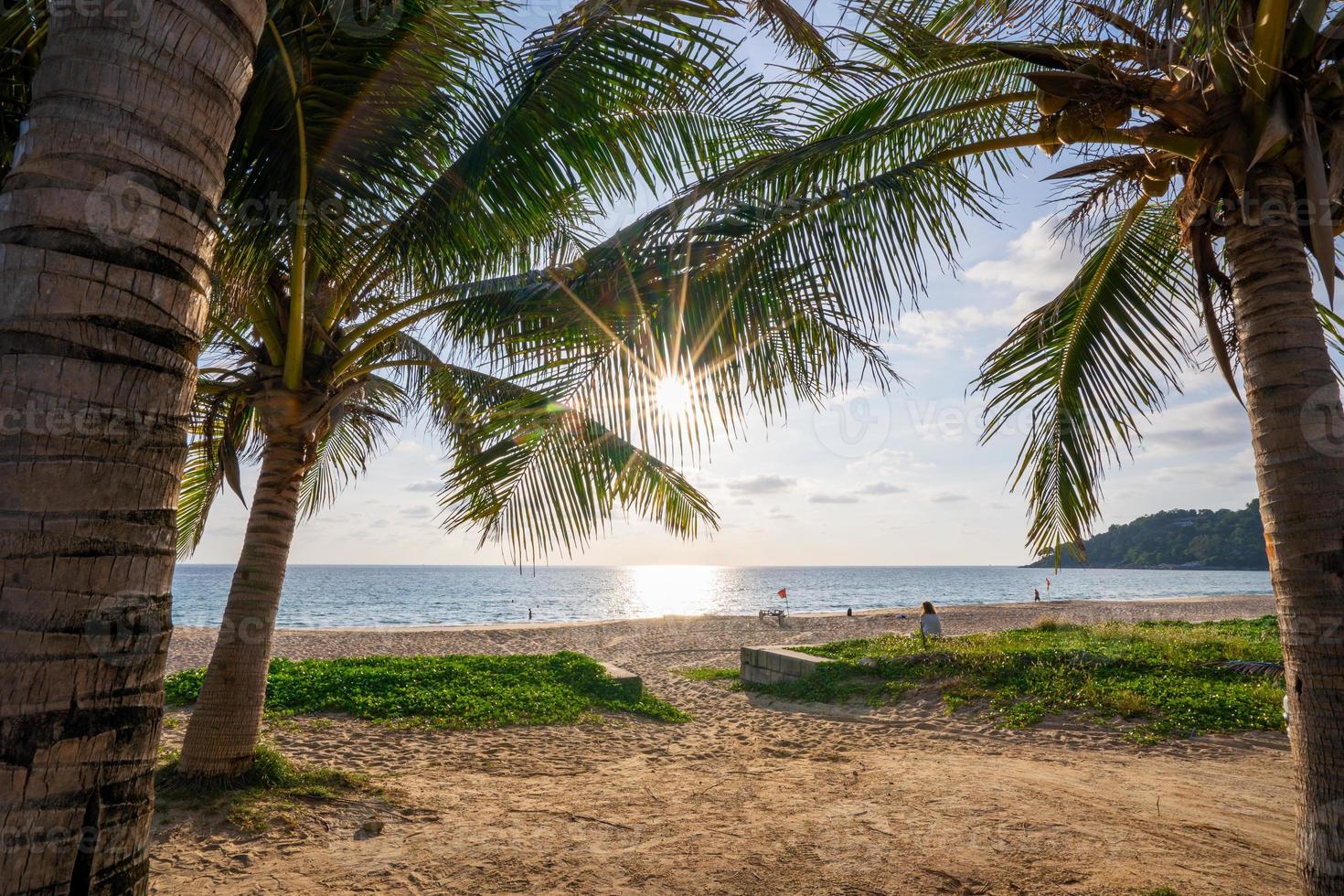 Beach summer vacations concept background Nature frame with coconut palm trees on the beach with sun light flare beautiful sunset or sunrise landscape background photo