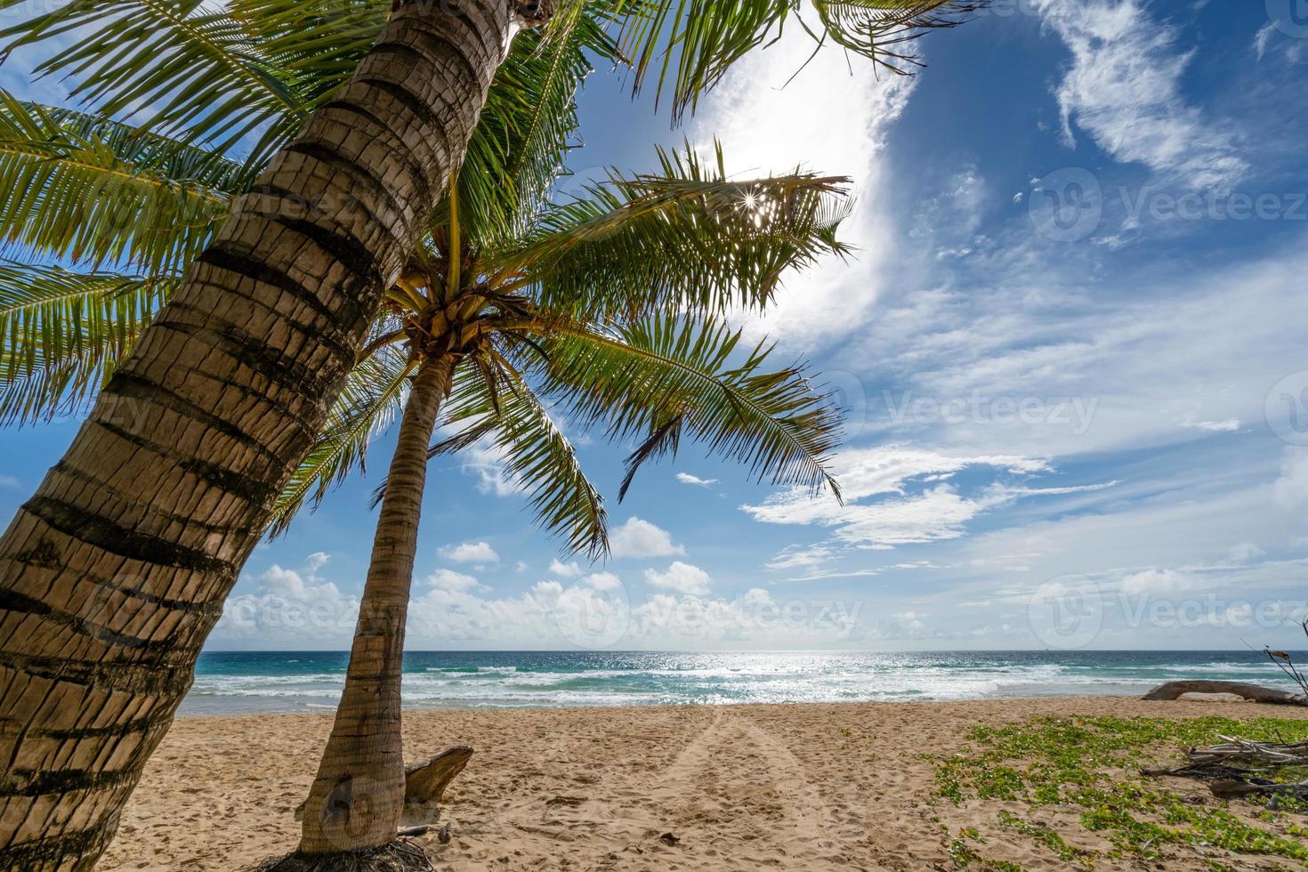 Beautiful blue sky and clouds with coconut palm trees leaves frame in tropical beaches of Phuket Thailand on a sunny summer day Nature background. photo