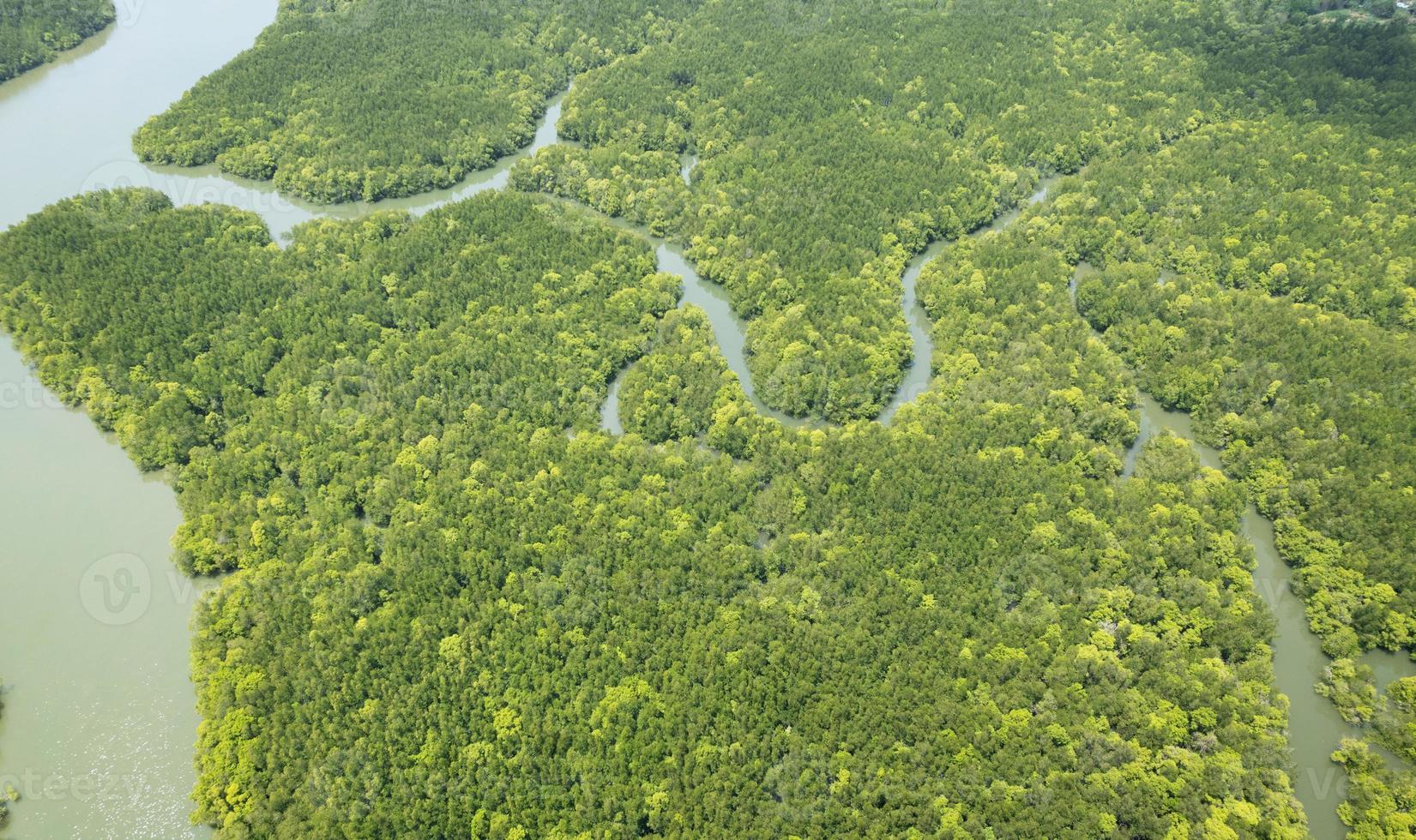 asombrosa abundante bosque de manglares vista aérea de los árboles del bosque ecosistema de la selva tropical y ambiente saludable textura de fondo de los árboles verdes vista de ángulo alto de arriba hacia abajo foto