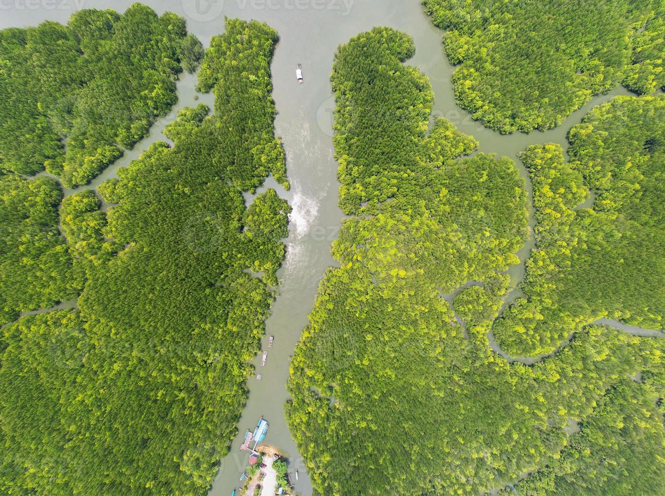 vista aérea de arriba hacia abajo del hermoso árbol del bosque de manglares en la mañana drone volando sobre el mar y el paisaje del bosque de manglares vista de ángulo alto toma aérea dinámica increíble vista del paisaje de la naturaleza foto