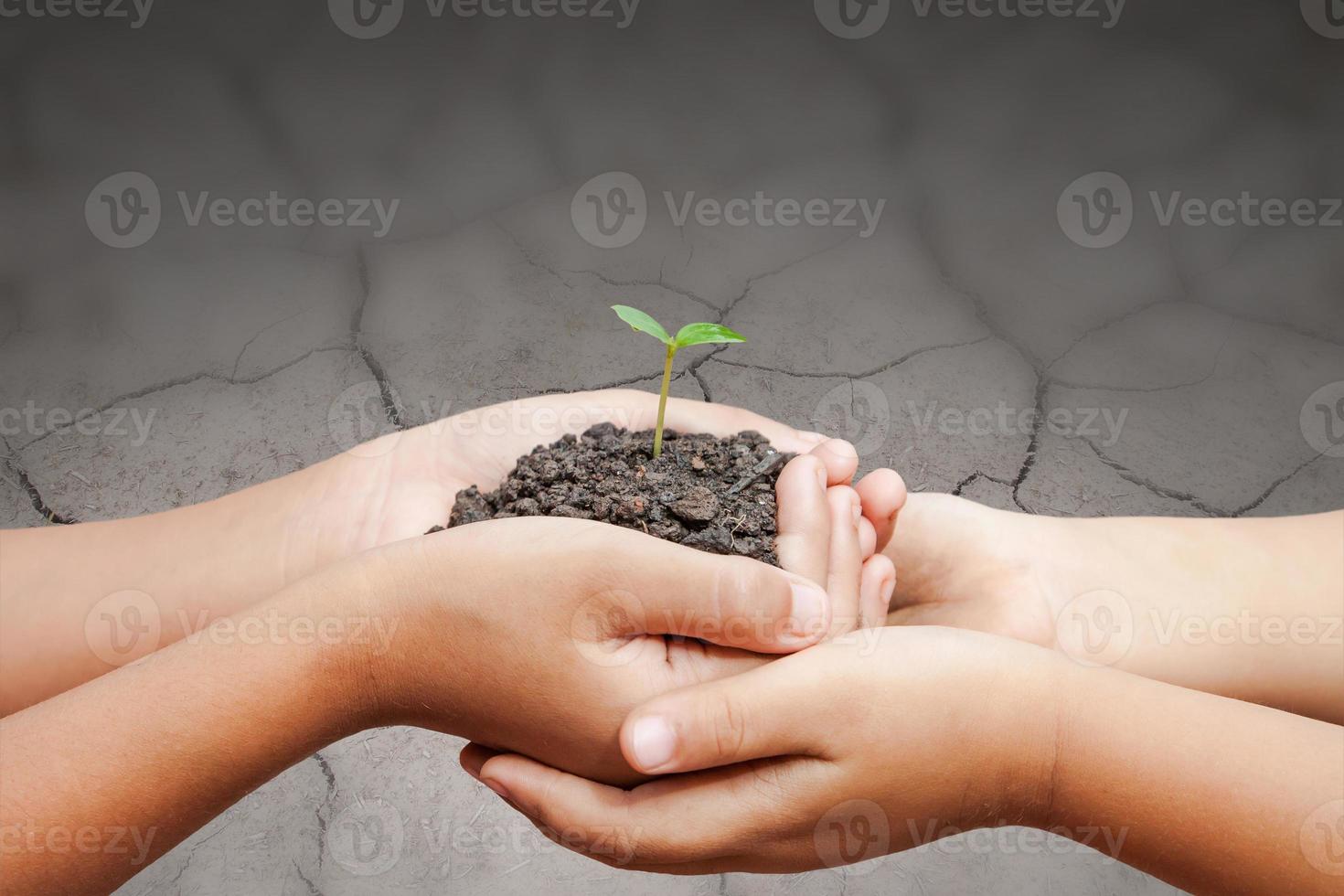 child hands holding soil with sprout on cracked ground photo