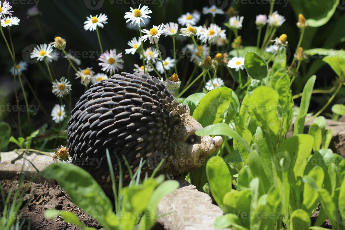 portrait of an animal hedgehog in the garden in flowers, decoration sculpture for the garden photo