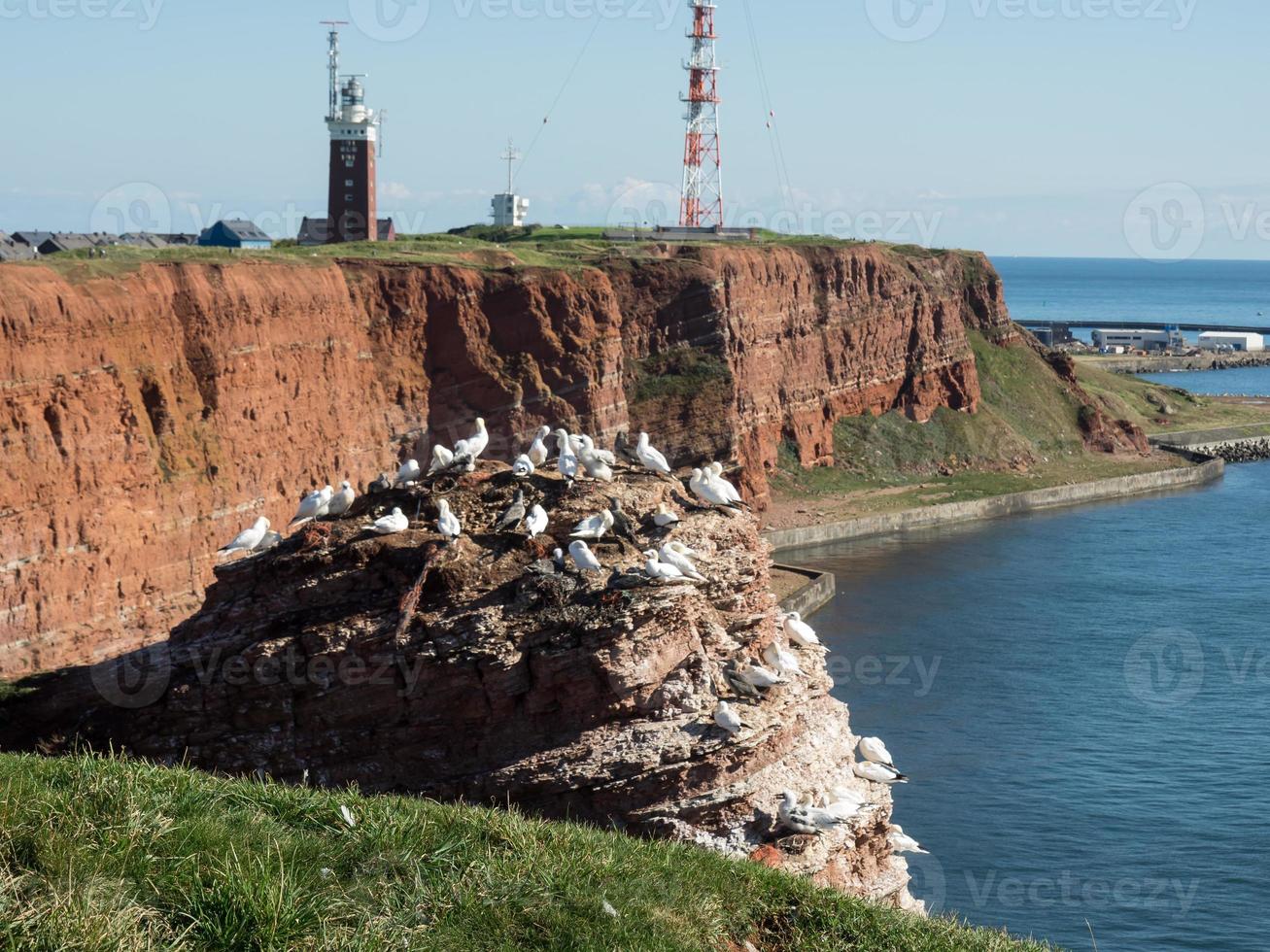 helgoland island in the north sea photo