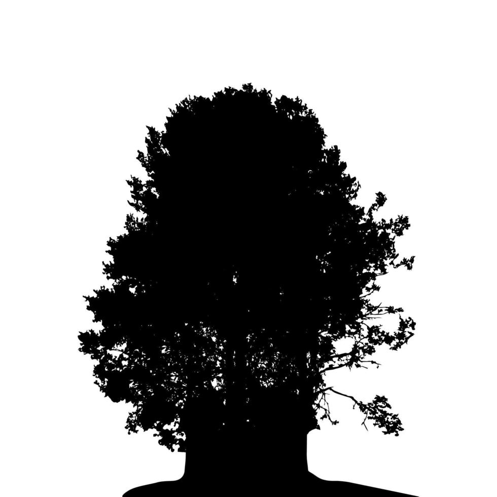 Black and White Silhouette of Deciduous Tree, whose branches develop in the wind. Vector Illustration.