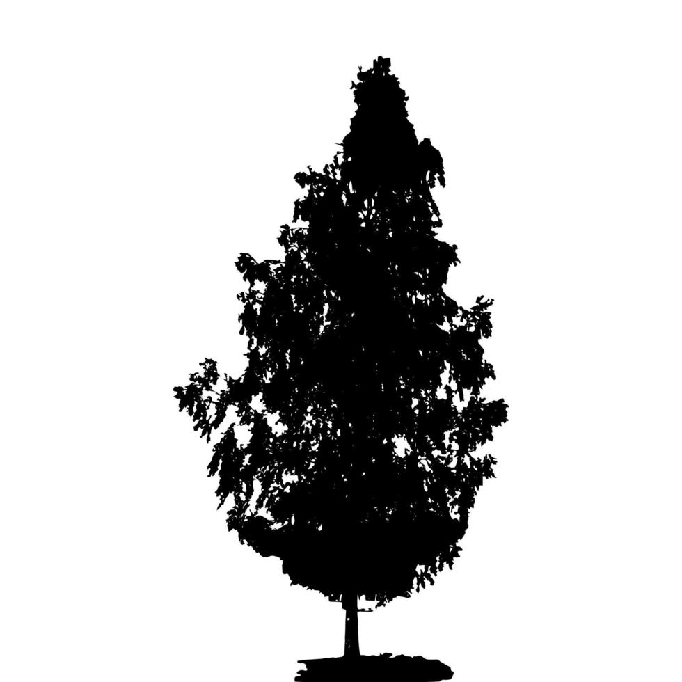 Black and White Silhouette of Deciduous Tree, whose branches develop in the wind. Vector Illustration.