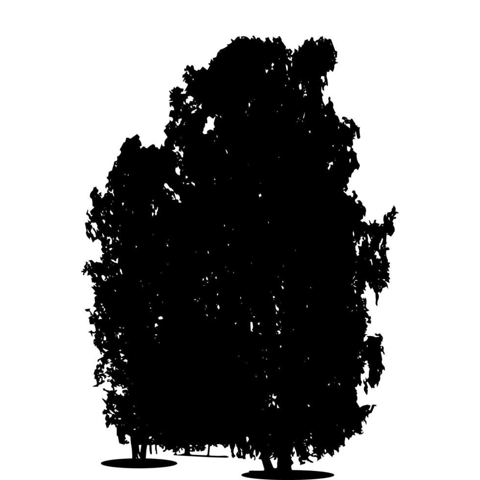 Black and White Silhouette of Deciduous Tree, whose branches develop in the wind. Vector Illustration.