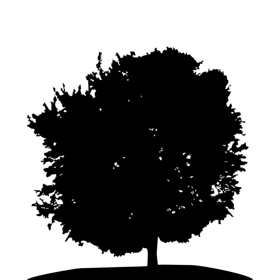 Black and White Silhouette of Deciduous Tree, whose branches develop in the wind. Vector Illustration.