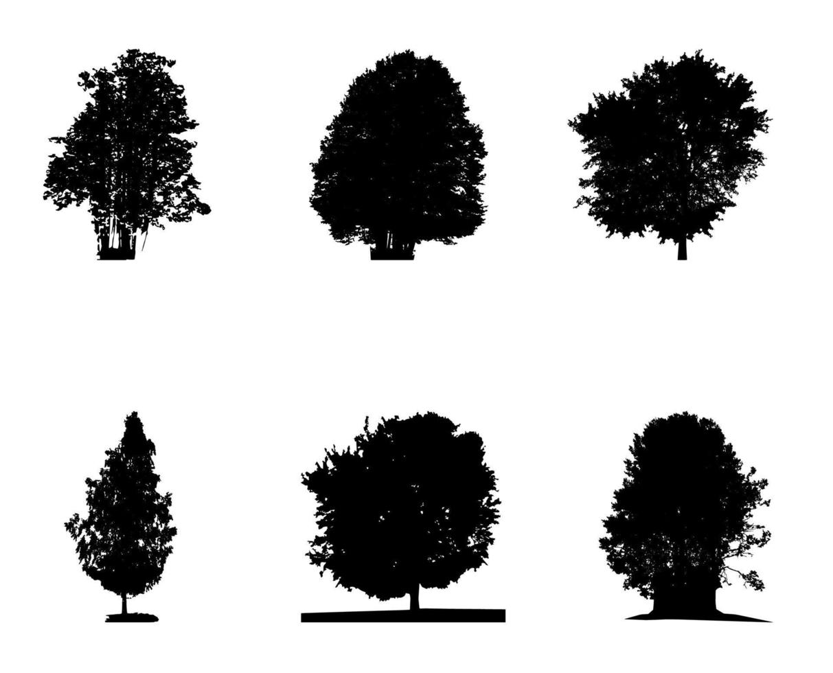 Conjunto de silueta en blanco y negro de árbol de hoja caduca, cuyas ramas se desarrollan con el viento. ilustración vectorial. vector