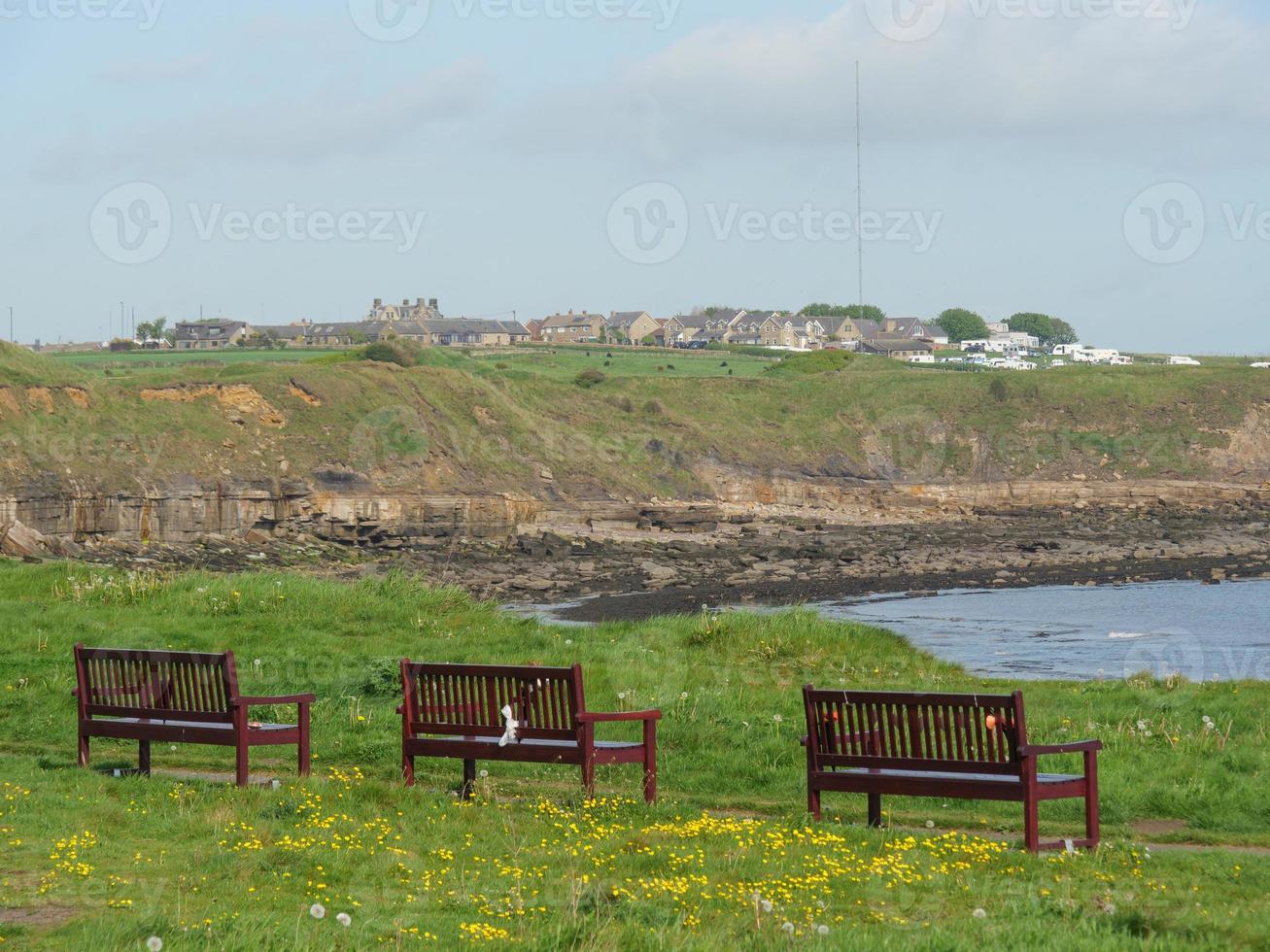 Garden and coastline near newcastle in england photo