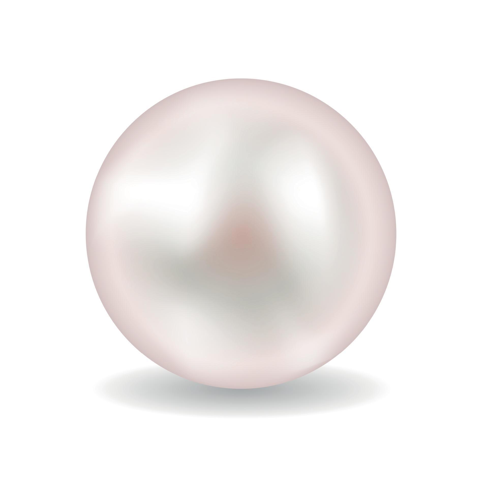 Pearl vector illustration 8114066 Vector Art at Vecteezy