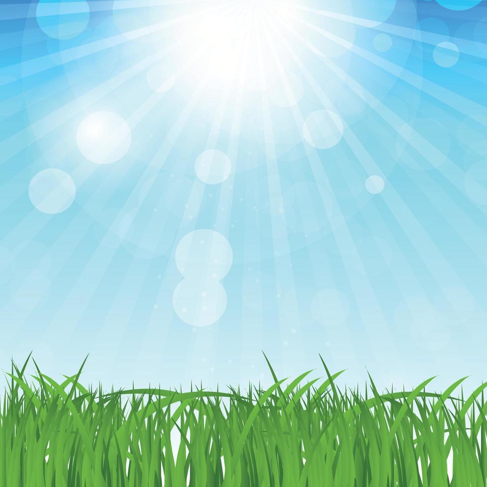 Natural Spring Background Vector Illustration