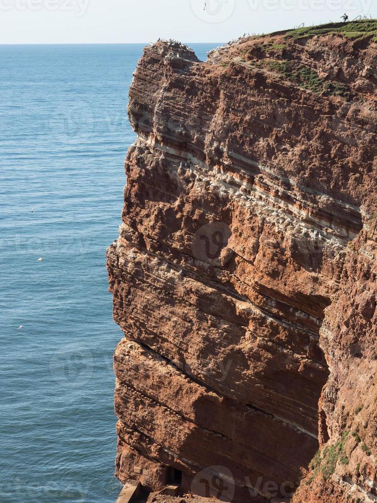 helgoland island in the north sea photo