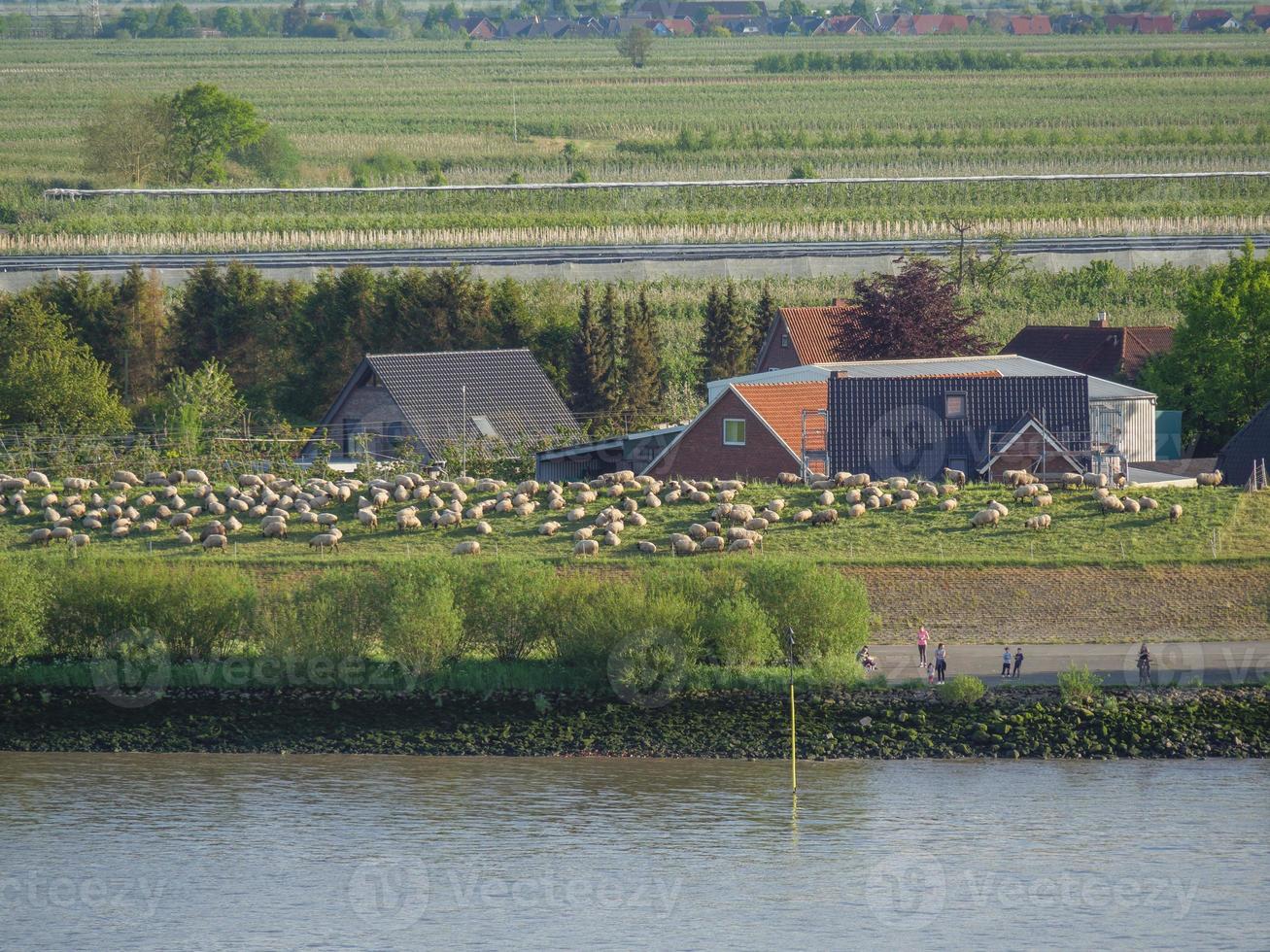 hamburgo y el río elba foto