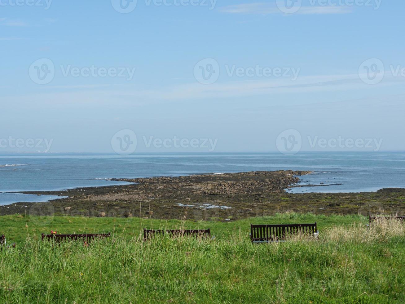 Garden and coastline near newcastle in england photo