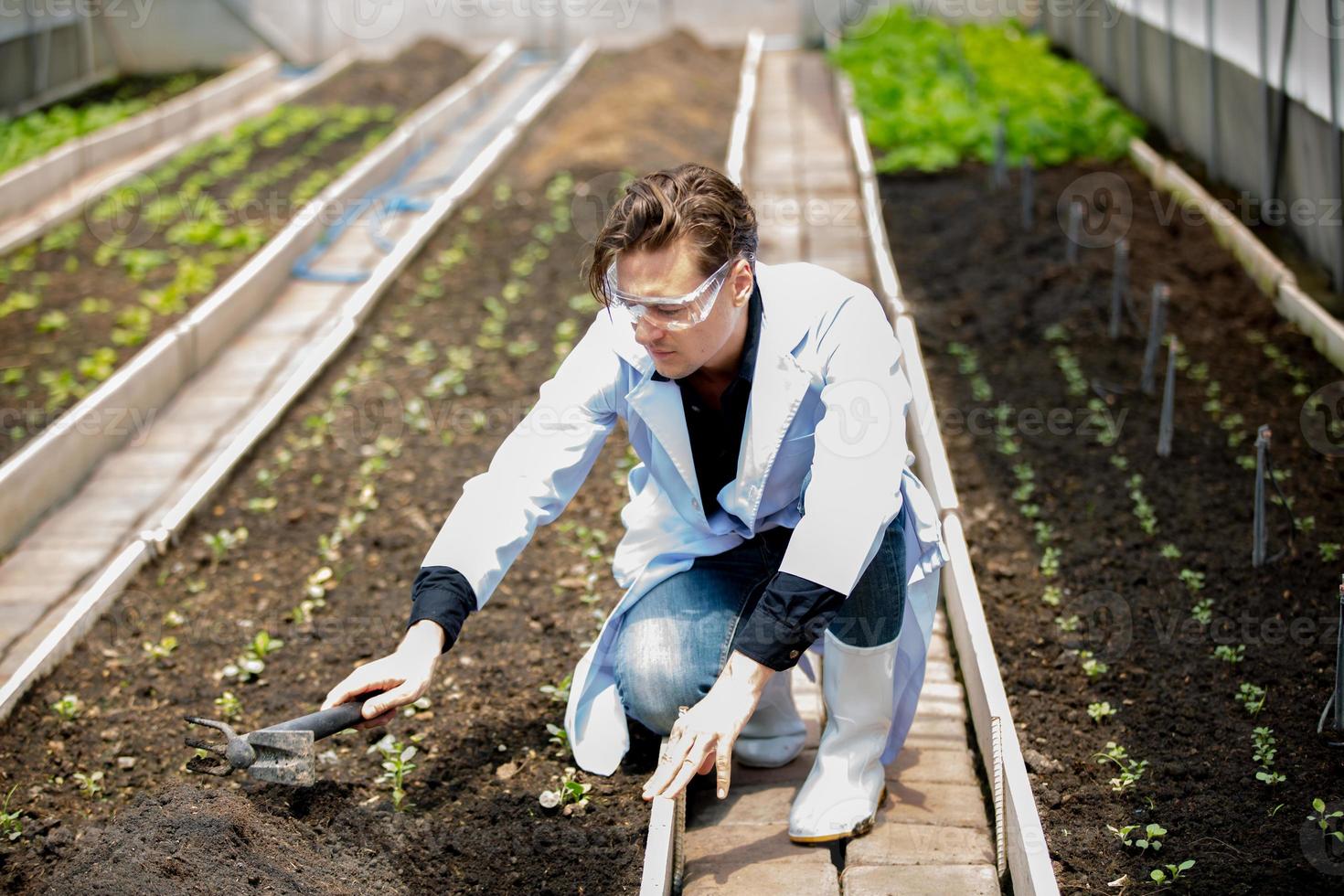 Agronomist farmer quality inspector holding are collecting data in greenhouse checking quality of vegetables in organic farm. photo