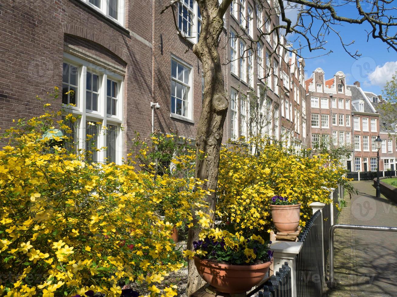 the city of Amsterdam in the netherlands photo