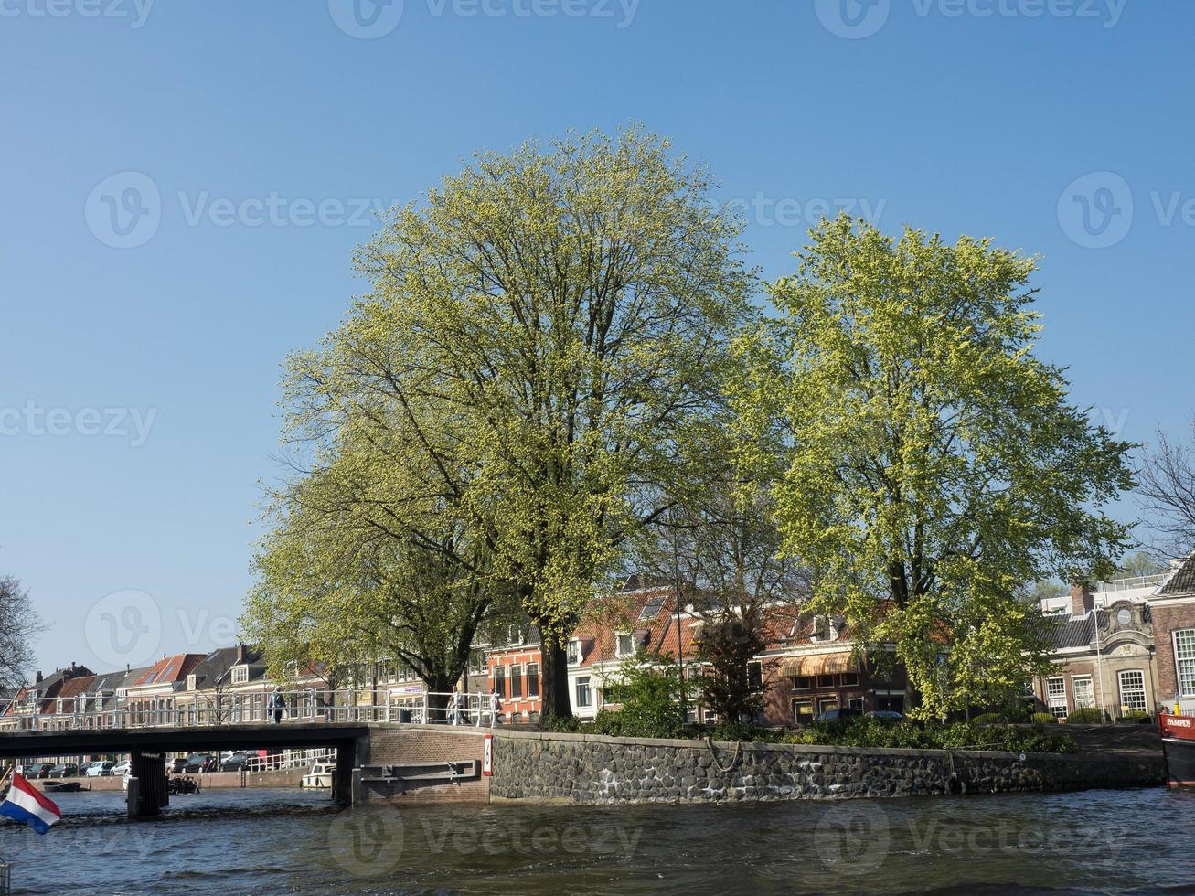 haarlem en los países bajos foto