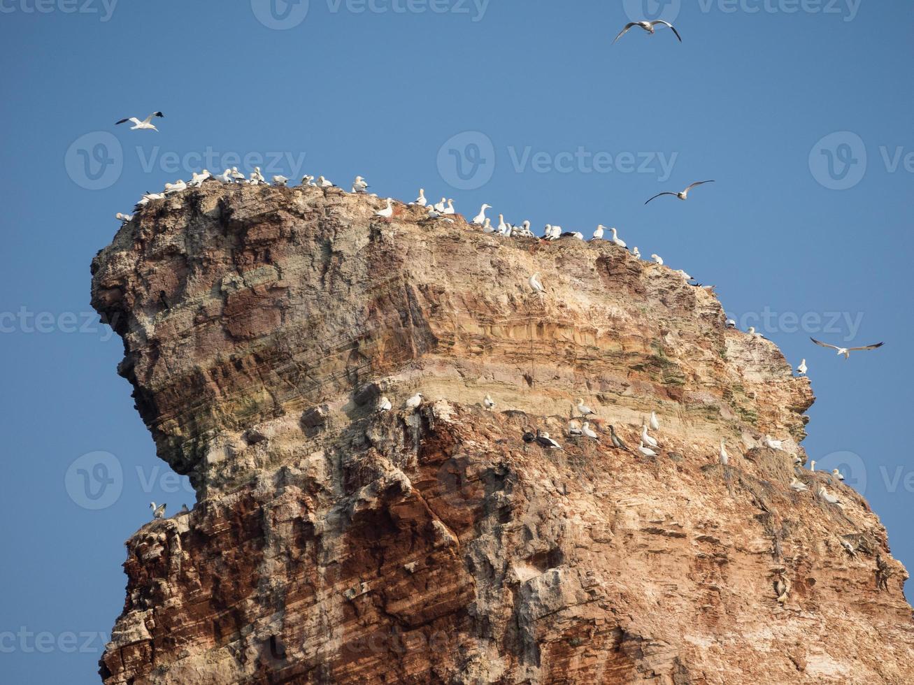 the island of Helgoland photo