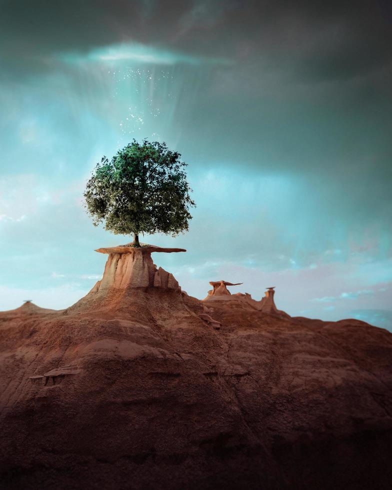 Tree on the rock fantasy scene Free Photo