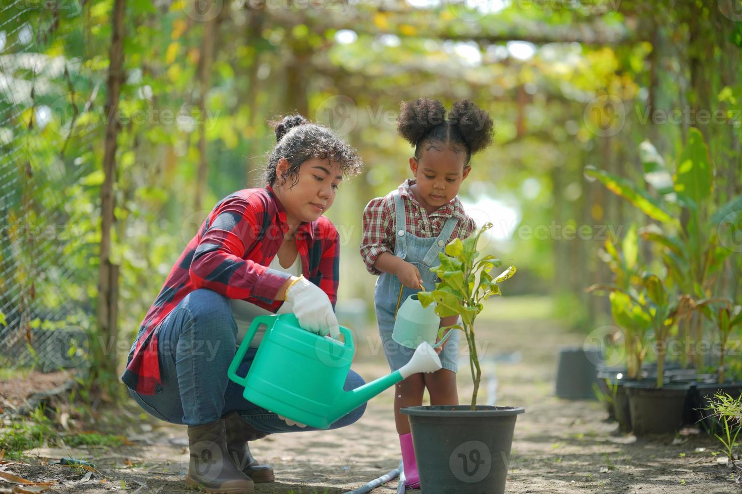 Litte Afro Kid Farmer Girl In garden watering plants and Harvest vegetables. photo