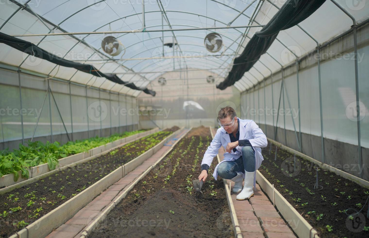 Agronomist farmer quality inspector holding are collecting data in greenhouse checking quality of vegetables in organic farm. photo