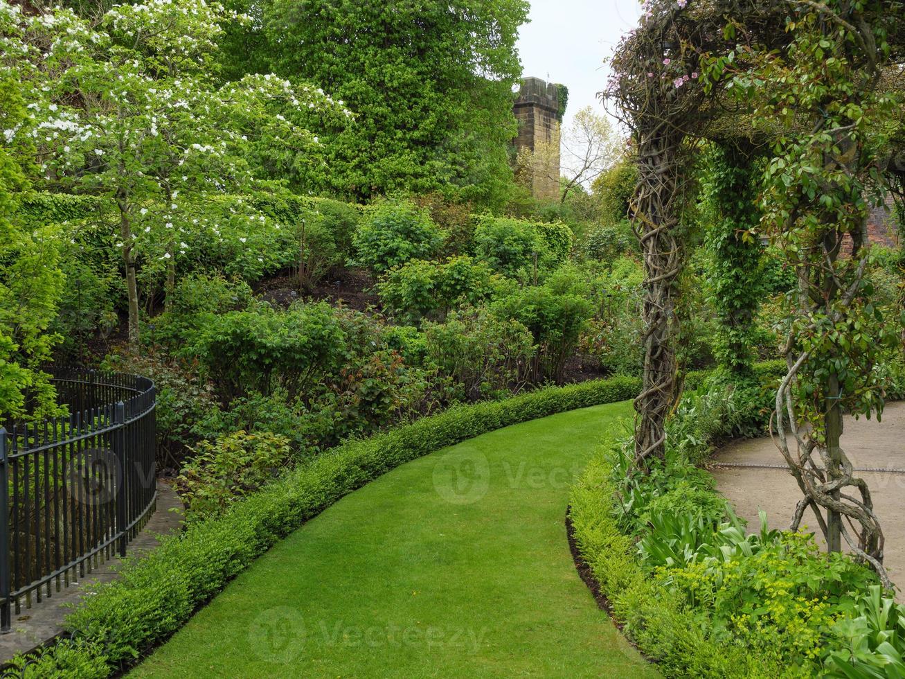 Garden and coastline near newcastle in england photo