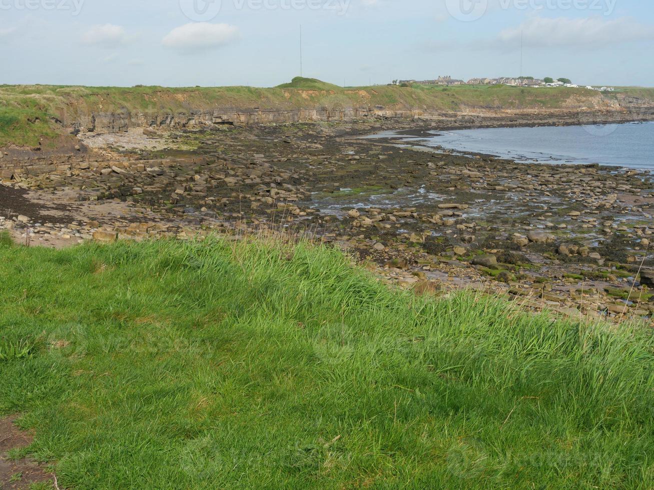 Garden and coastline near newcastle in england photo