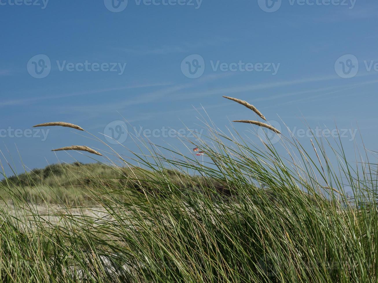 the island of Helgoland photo