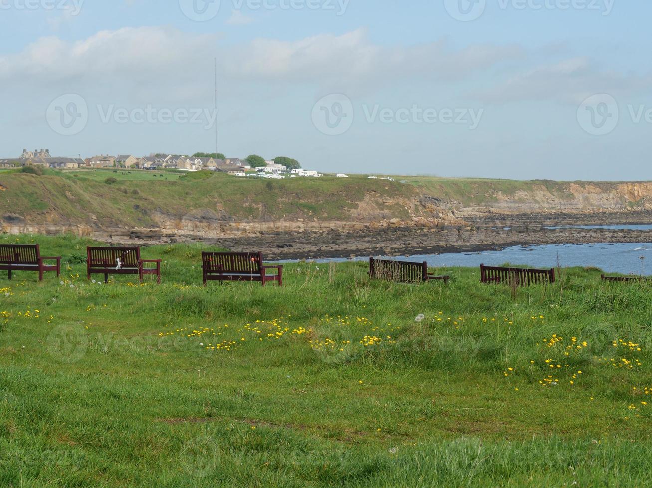 Garden and coastline near newcastle in england photo