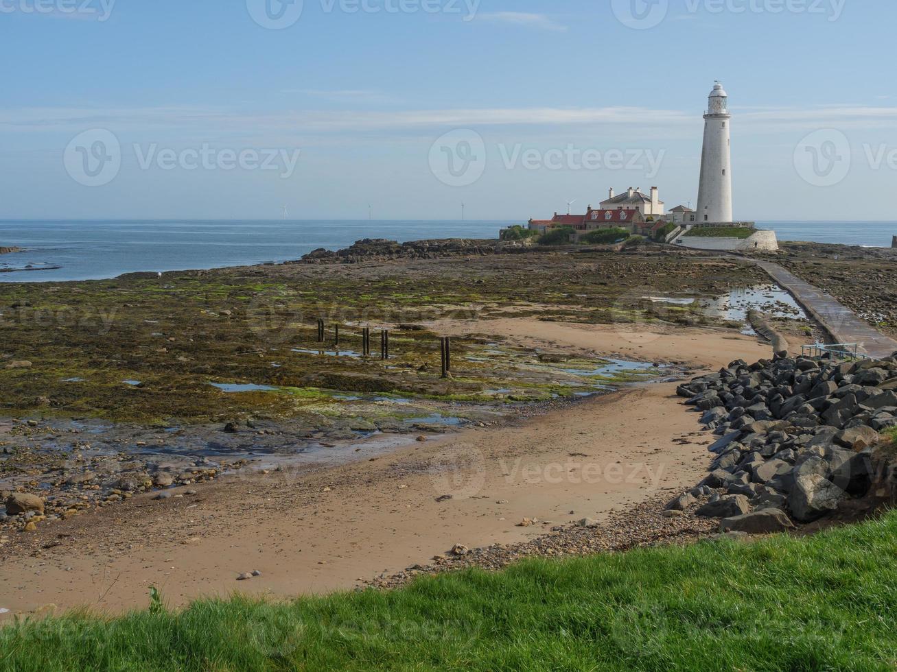 Garden and coastline near newcastle in england photo